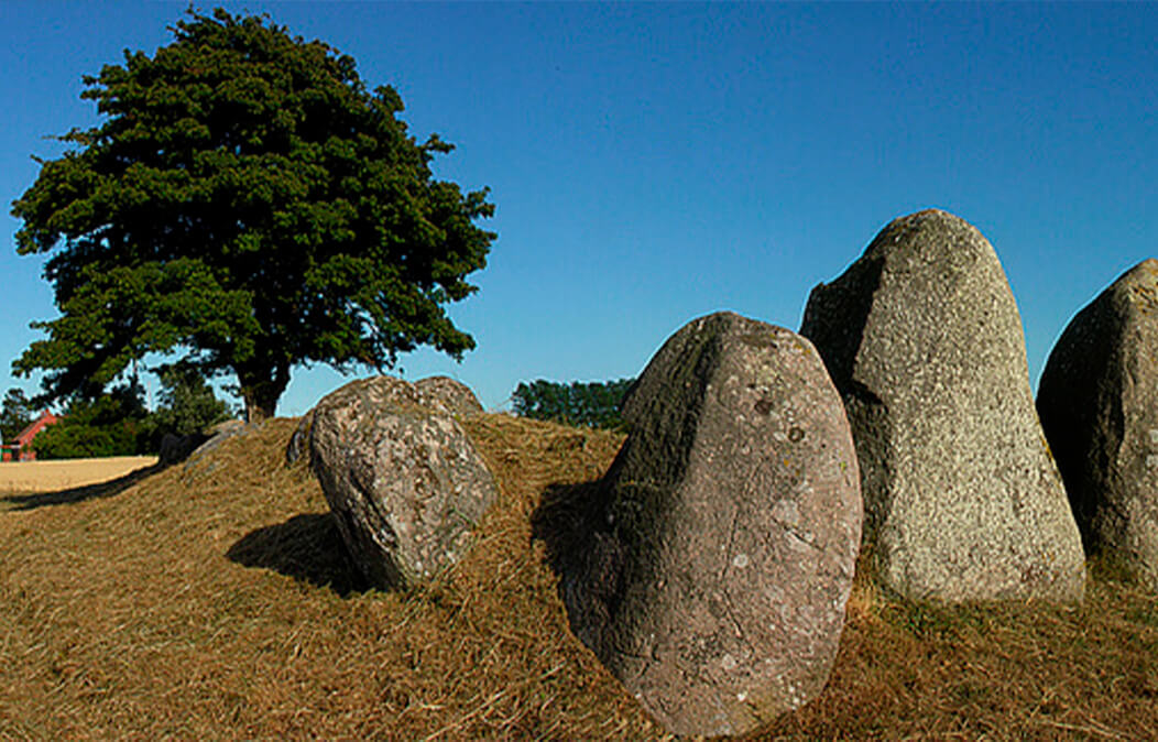 Busemarke langdysse